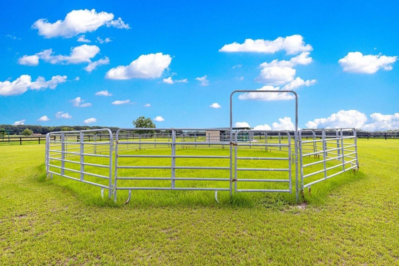 12345 NE 14th Avenue, Anthony, FL 32617 Photo