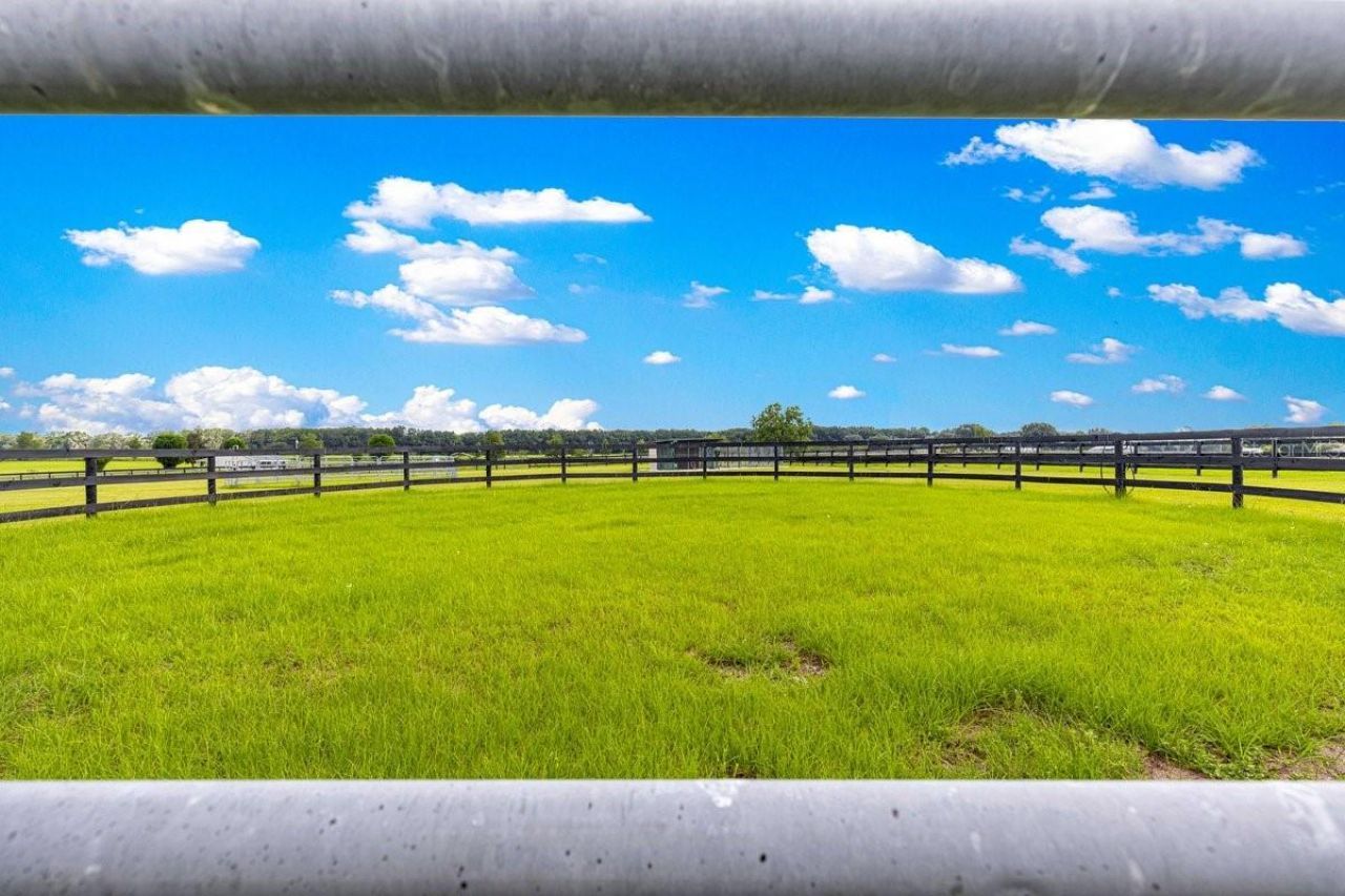 12345 NE 14th Avenue, Anthony, FL 32617 Photo