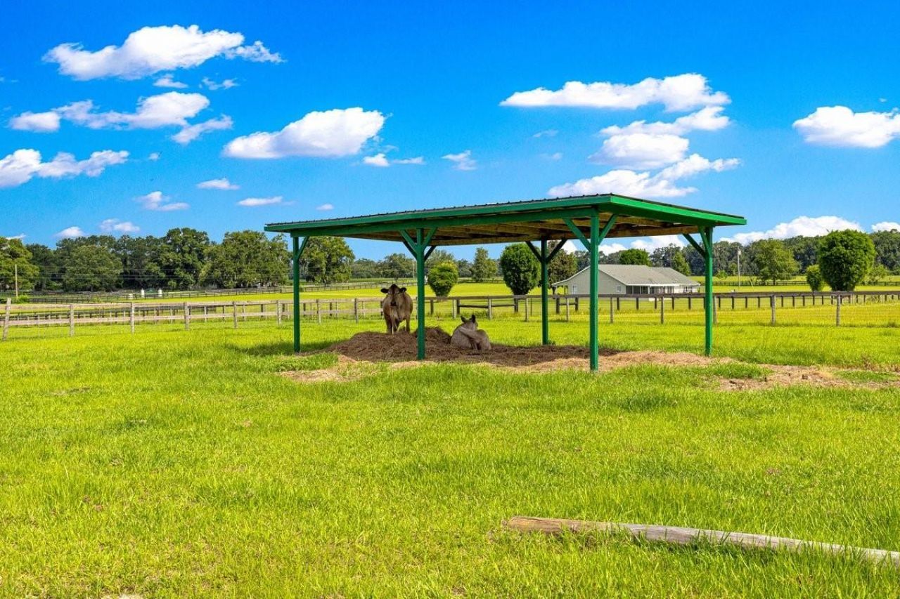 12345 NE 14th Avenue, Anthony, FL 32617 Photo