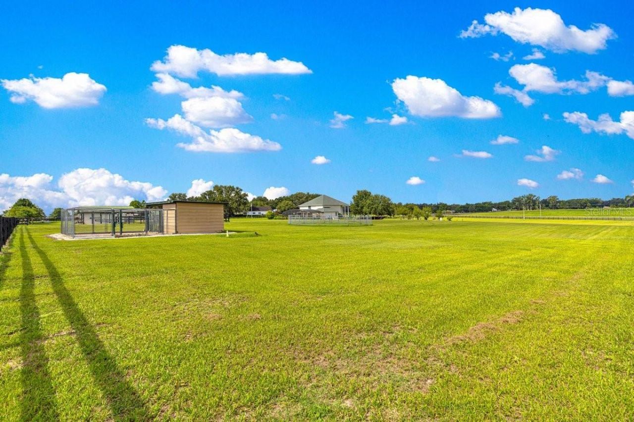 12345 NE 14th Avenue, Anthony, FL 32617 Photo