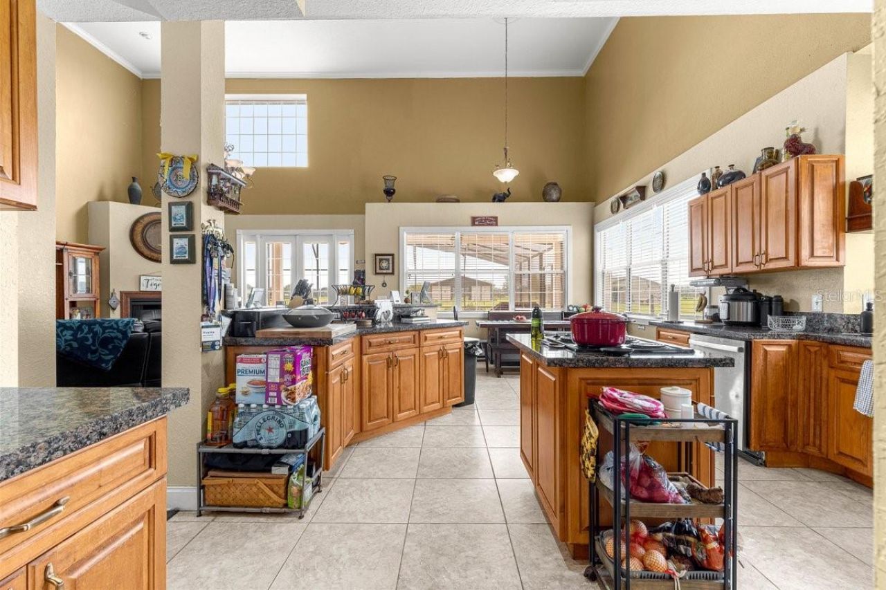 12345 NE 14th Avenue, Anthony, FL 32617 Photo