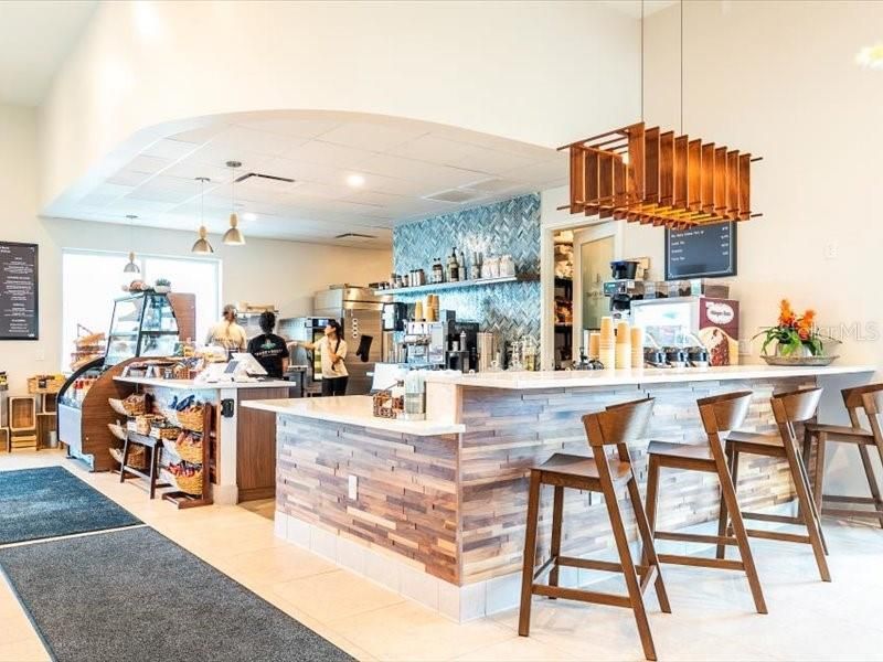 17741 Crescent Moon Loop, Bradenton, FL 34211 Photo