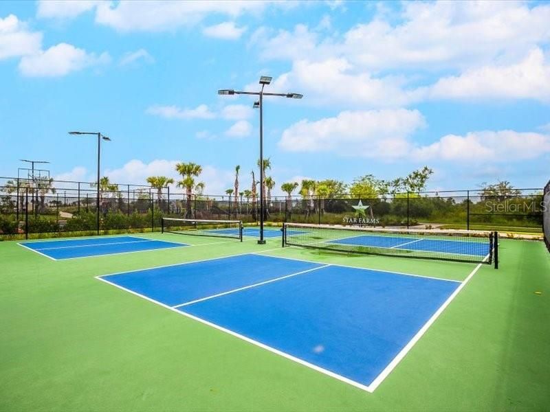 17741 Crescent Moon Loop, Bradenton, FL 34211 Photo