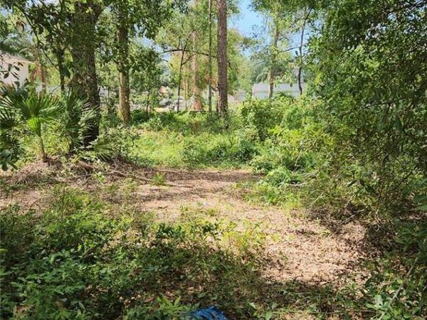 7624 ANNO STREET, TAMPA, FL 33625