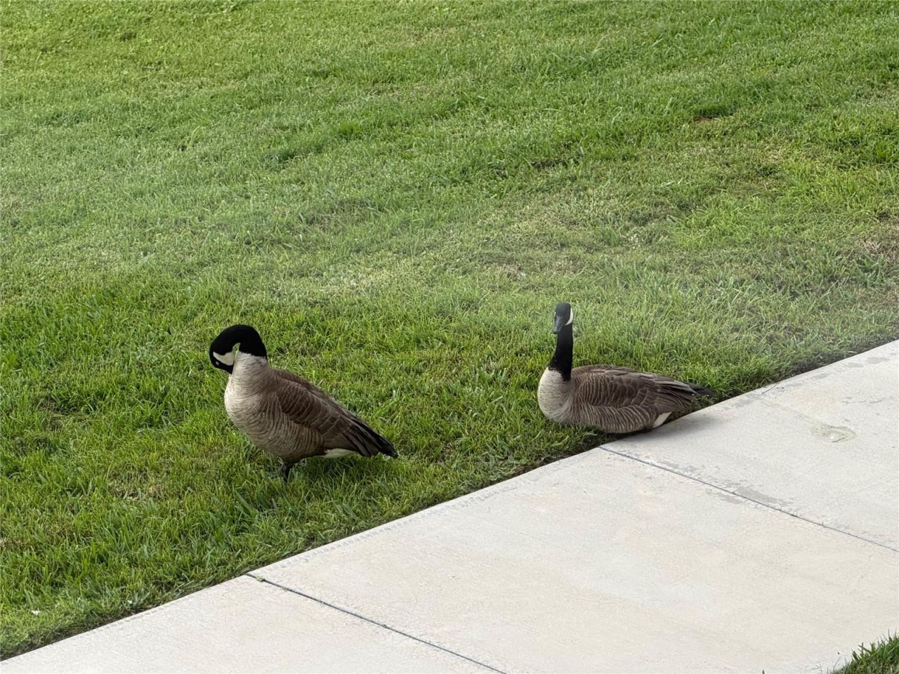 6444 7th Avenue Circle W, Unit 6444, Bradenton, FL 34209 Photo