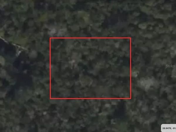 RIEGEL (PAPER) AVENUE, ORANGE CITY, FL 32763