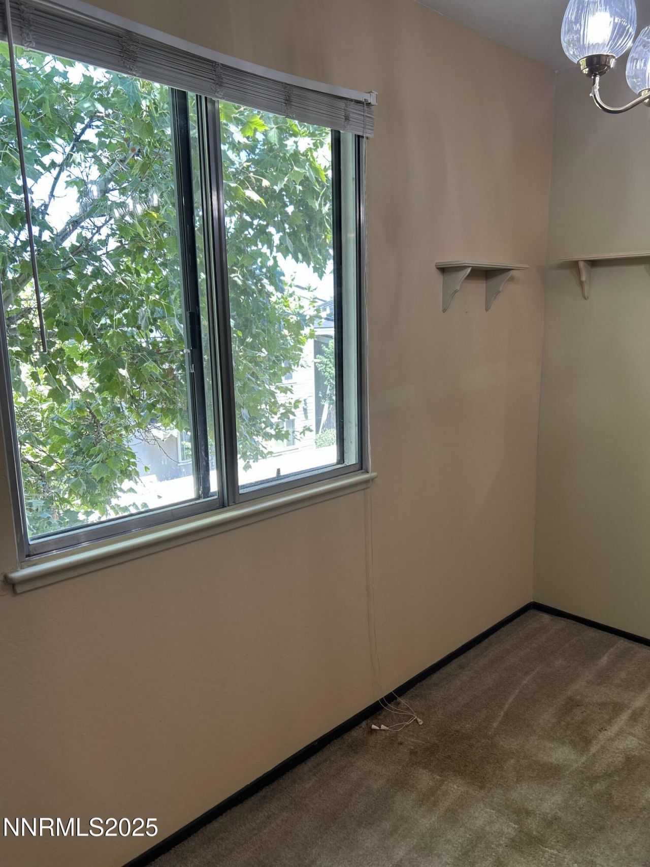 1000 Beck Street, Unit 361, Reno, NV 89509 Photo