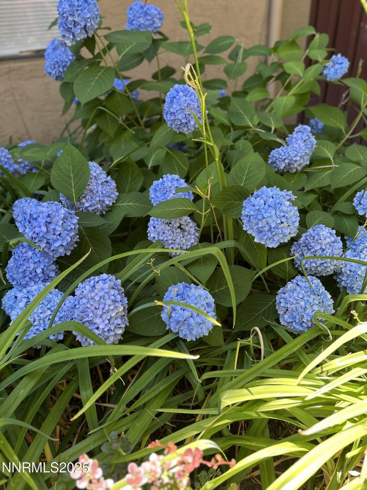 1000 Beck Street, Unit 361, Reno, NV 89509 Photo