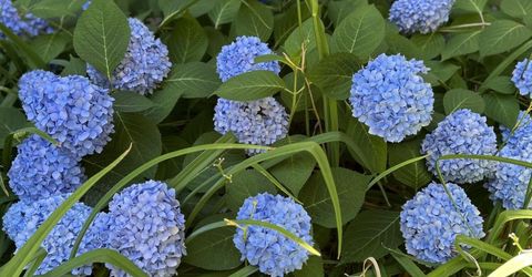 1000 Beck Street, Unit 361, Reno, NV 89509 Photo