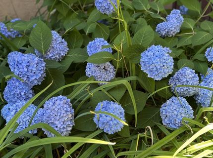 1000 Beck Street, Unit 361, Reno, NV 89509 Photo