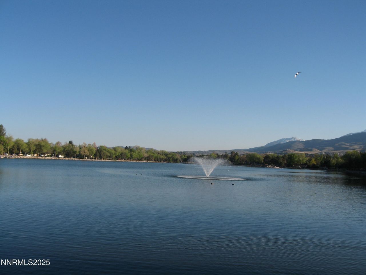 1000 Beck Street, Unit 361, Reno, NV 89509 Photo