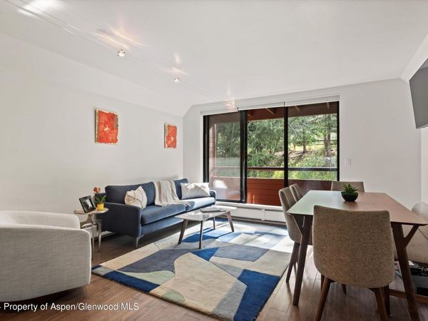 1326 Vine Street, Unit 1326, Aspen, CO 81611