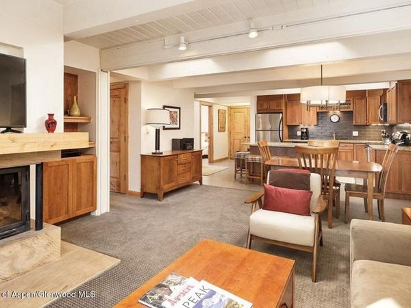 901 E Hyman Avenue, Unit 13, Aspen, CO 81611
