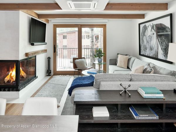901 E Hyman Avenue, Unit 5, Aspen, CO 81611