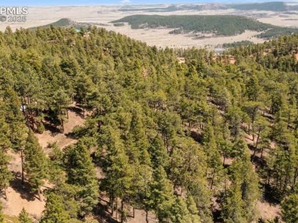 2255 Elk Park Road, Larkspur, CO 80118