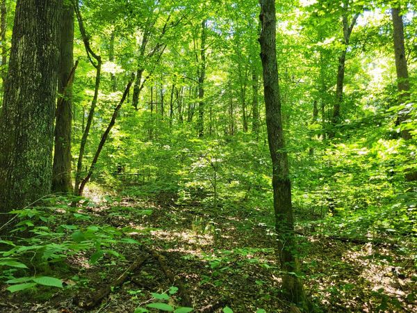 1 Indian Creek Rd, Dover, TN 37058