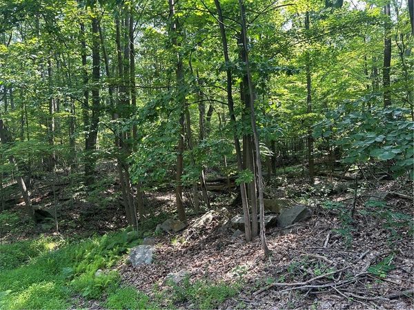 LOT 934 Ski Slope RD, Acme, PA 15610