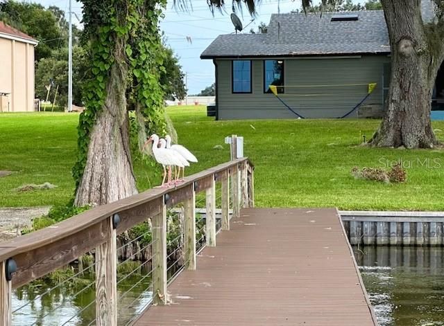 416 Hancock Road, Leesburg, FL 34748 Photo