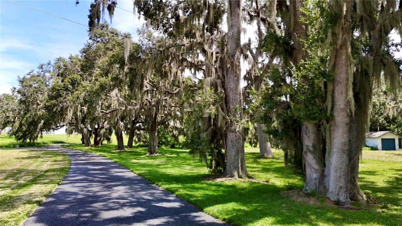 416 Hancock Road, Leesburg, FL 34748 Photo