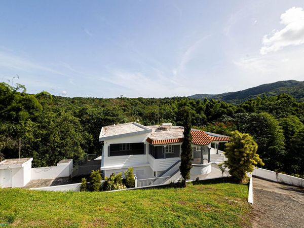 Km 1.2 CARR PR 9920, San Lorenzo, PR 00754