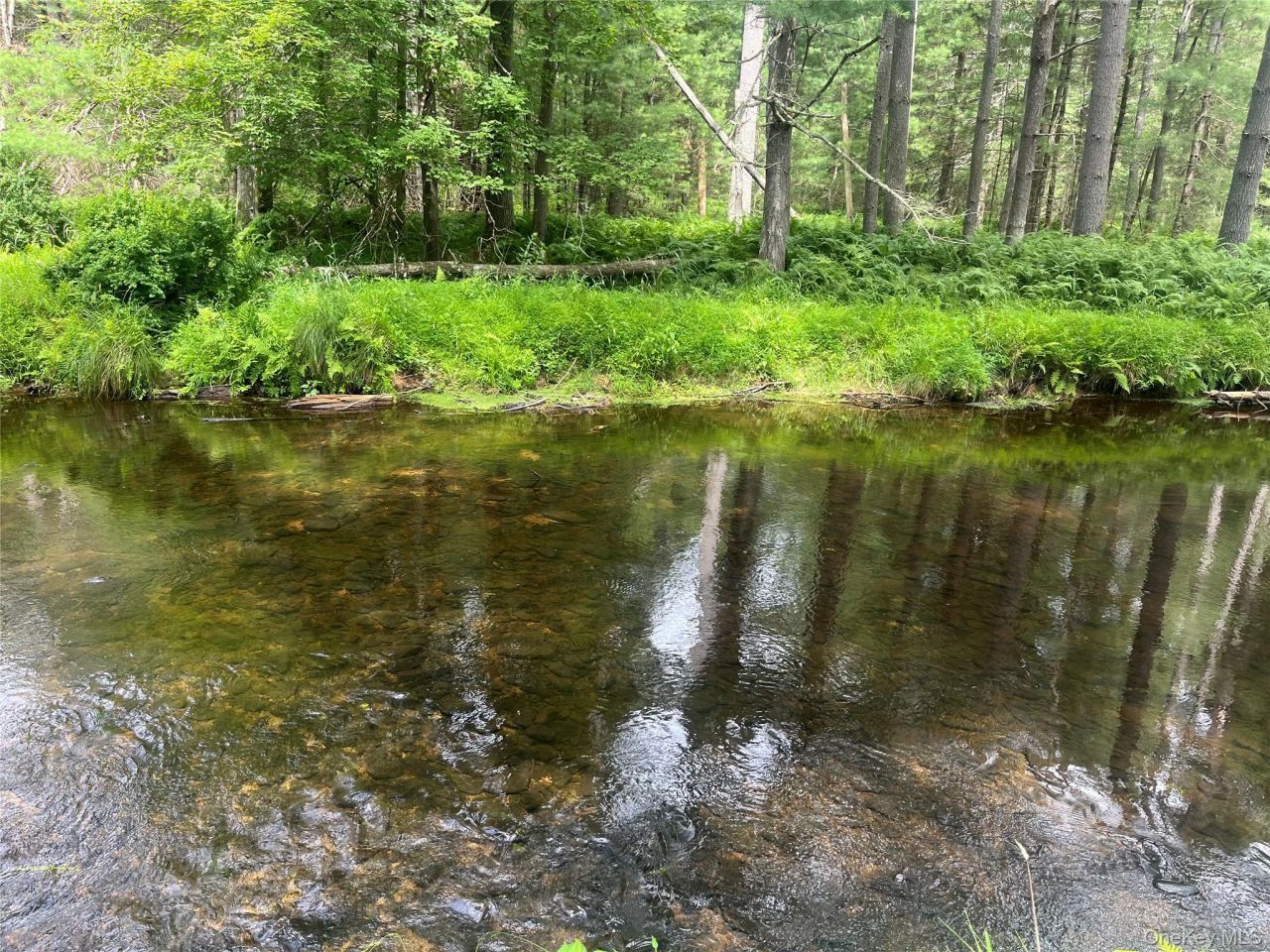 27 Woods Road, Yulan, NY 12792 Main Photo