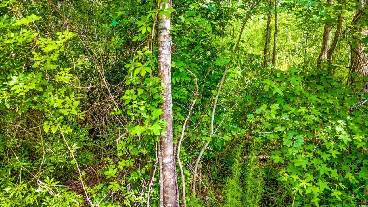 Tbd SW Highway 111 Photo 11