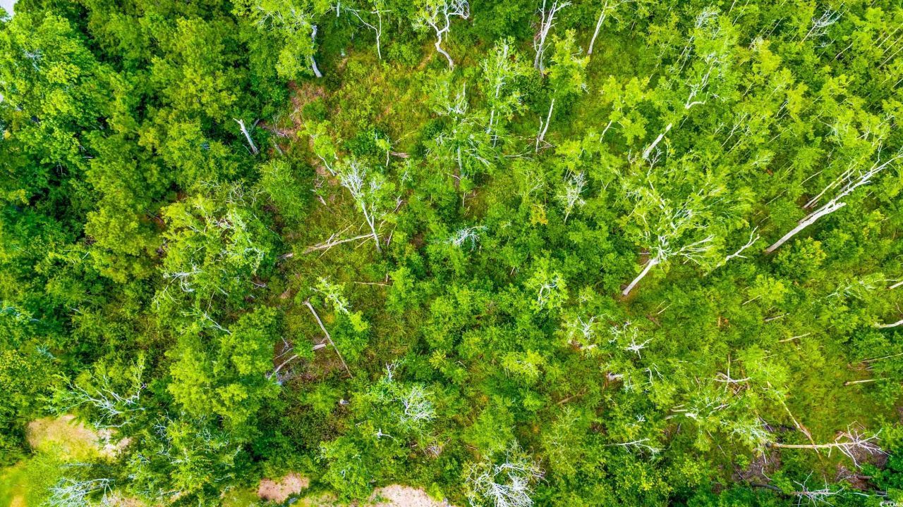 Tbd SW Highway 111 Photo 12