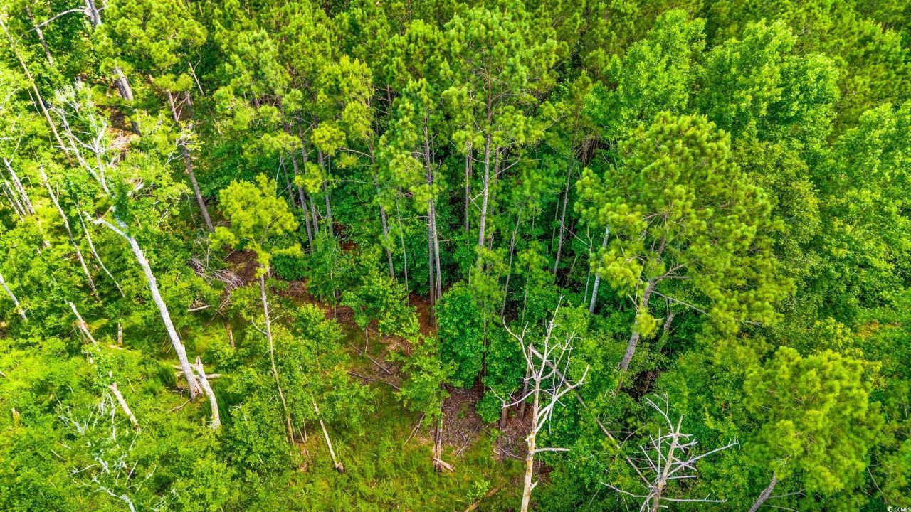 Tbd SW Highway 111 Photo 13