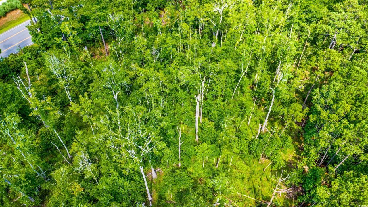 Tbd SW Highway 111 Photo 14