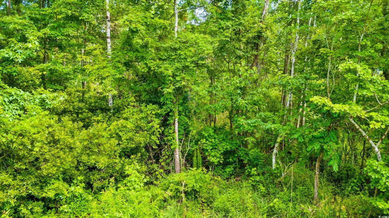 Tbd SW Highway 111 Photo 6