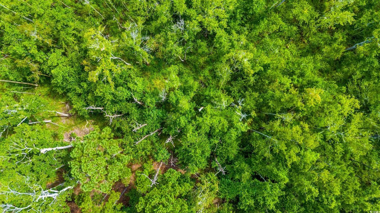 Tbd SW Highway 111 Photo 7