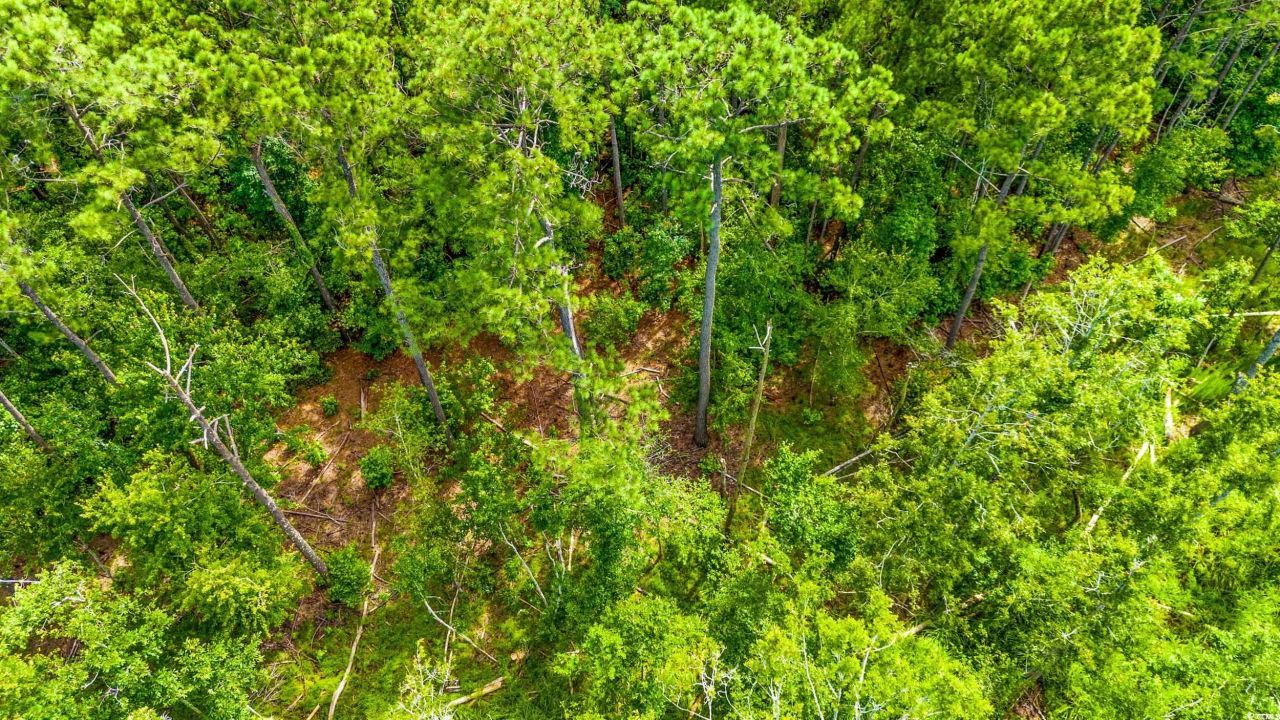 Tbd SW Highway 111 Photo 8