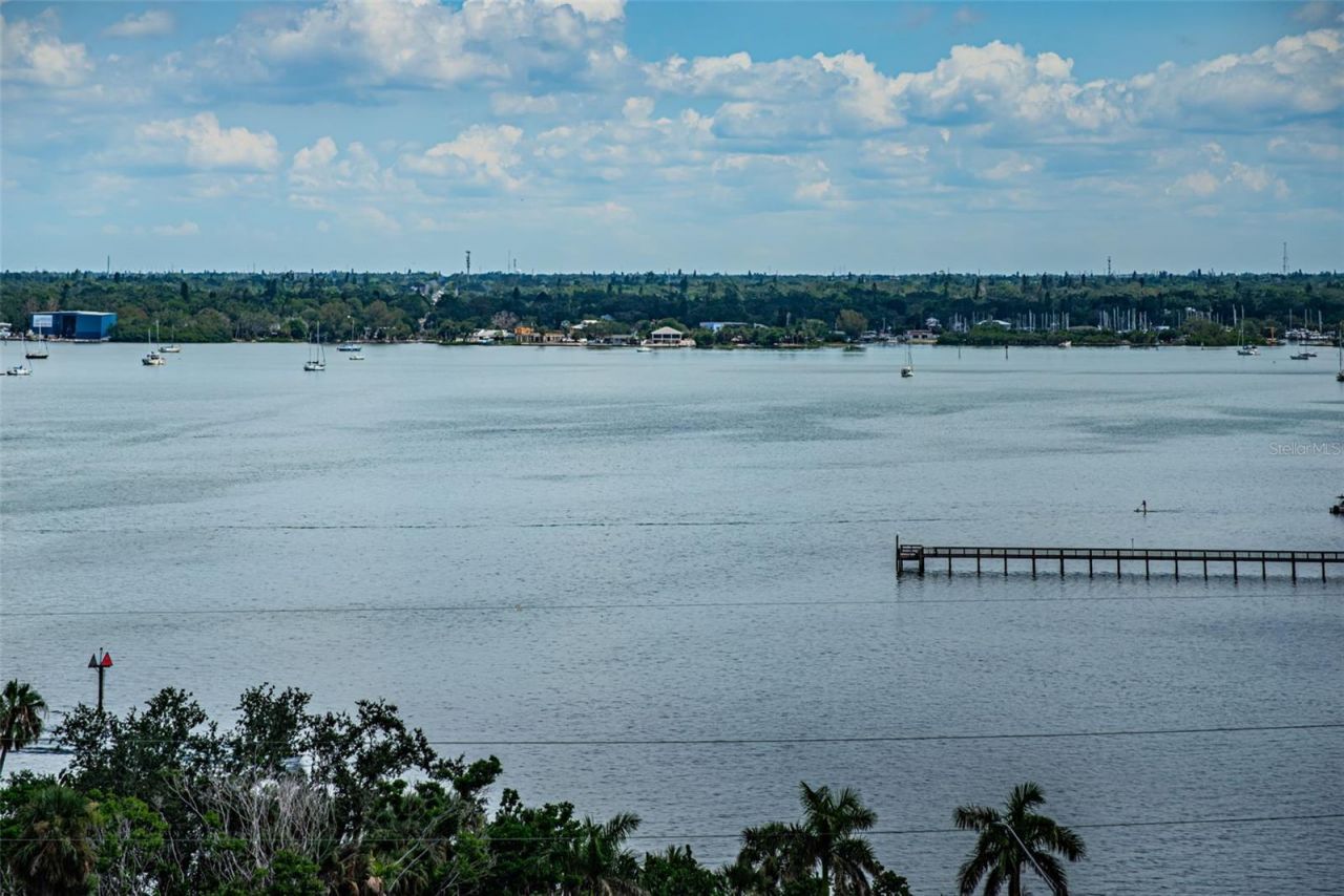 4900 Brittany Drive S, Unit 1413, Saint Petersburg, FL 33715 Photo