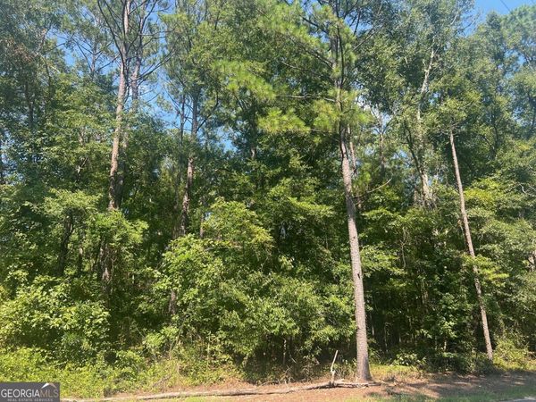 203 Pebble Cove Road, Abbeville, AL 36310