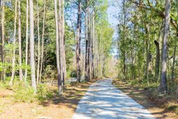 1515 John Fenwick Lane photo 4