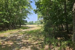 Lot 2a M W Rickenbaker Road photo 4