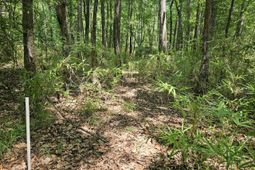 Lot 2a M W Rickenbaker Road photo 4