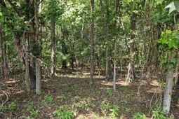 Lot 2a M W Rickenbaker Road photo 4