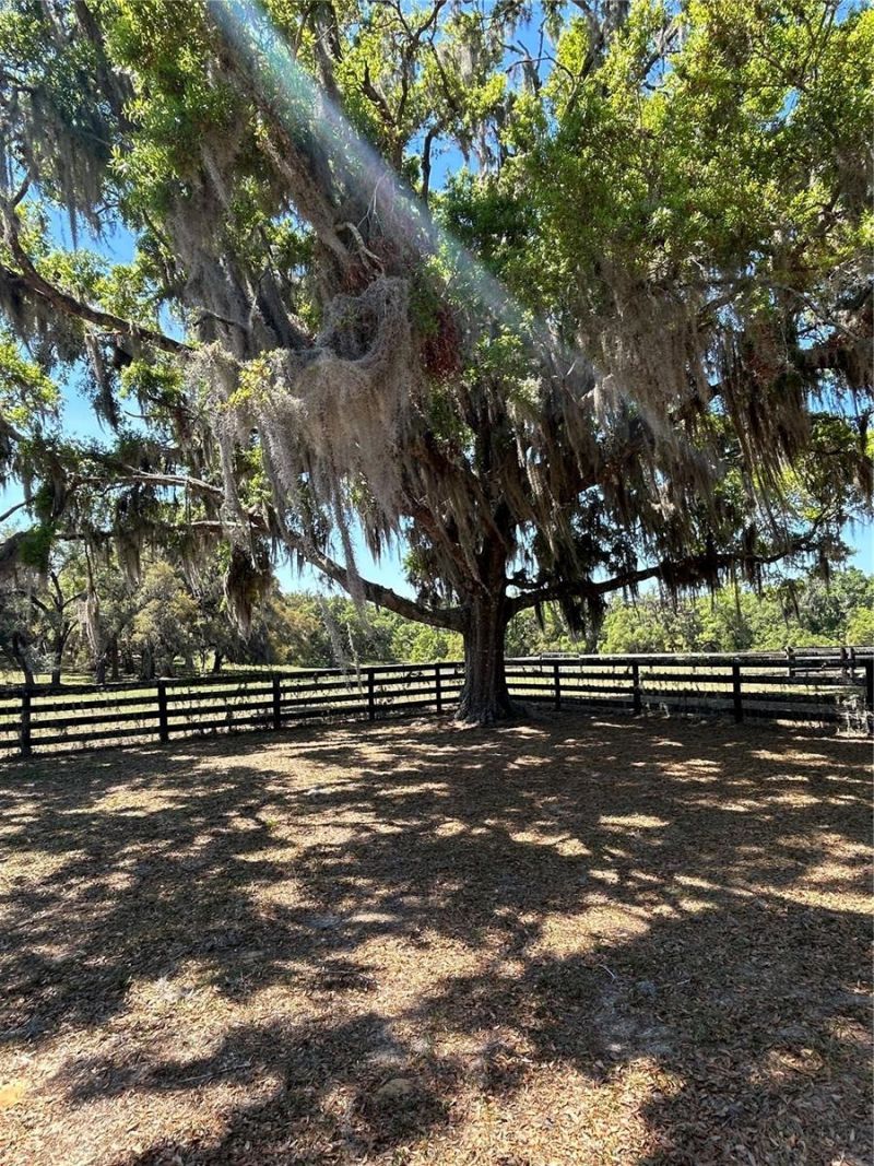 7652 E Derby Oaks Drive, Floral City, FL 34436 Photo