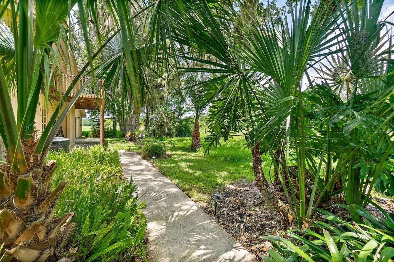 14951 Andalusia Trail, Bunnell, FL 32110 Photo