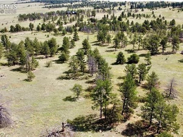 32041 Cattle Circle, Ramah, CO 80832