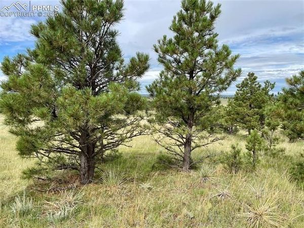 31963 Cattle Circle, Ramah, CO 80832