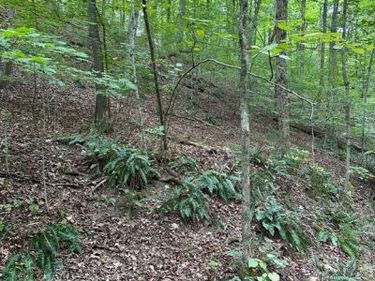 5.65 Acres OFF REYNOLDSDALE ROAD, NEW PARIS, PA 15554