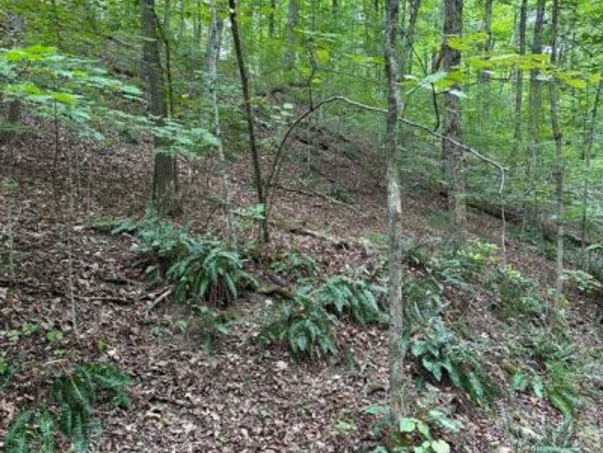 5.65 Acres Off Reynoldsdale Road, New Paris, PA 15554 Main Photo