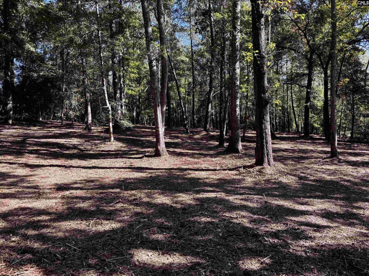 1338 John G Richards Road Photo 36