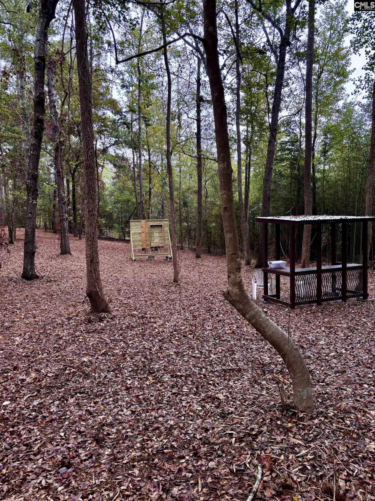 1338 John G Richards Road Photo 37