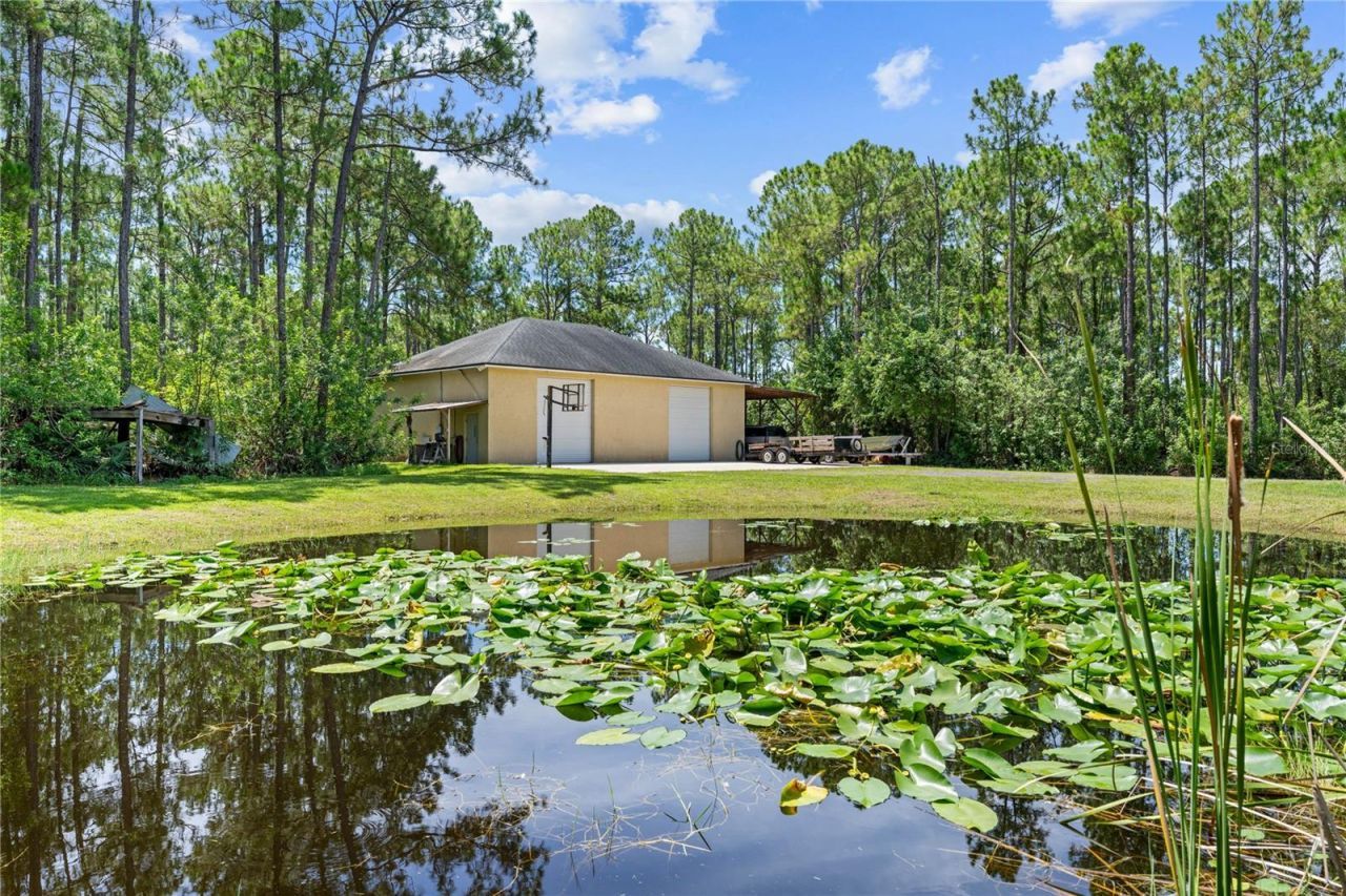 859 Leather Fern Lane, Mims, FL 32754 Photo