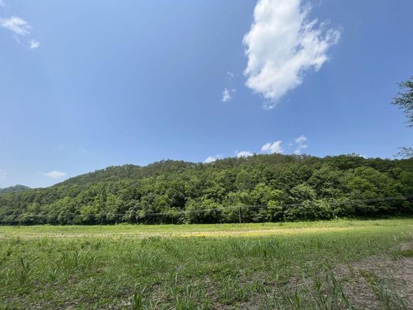 00 E 25-70, Del Rio, TN 37727