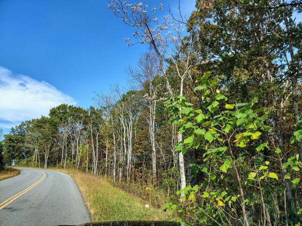 Tract 8 Three Oaks RD, Wirtz, VA 24184