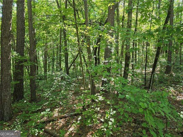0 Byers Drive, Ball Ground, GA 30107